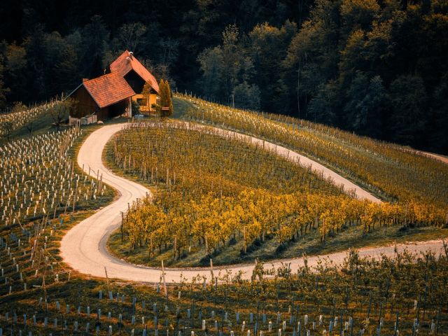 Immigration Slovenia