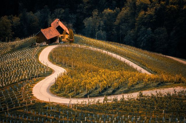 Immigration Slovenia